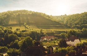 Weingut Heltihof, © Weingut Faltl