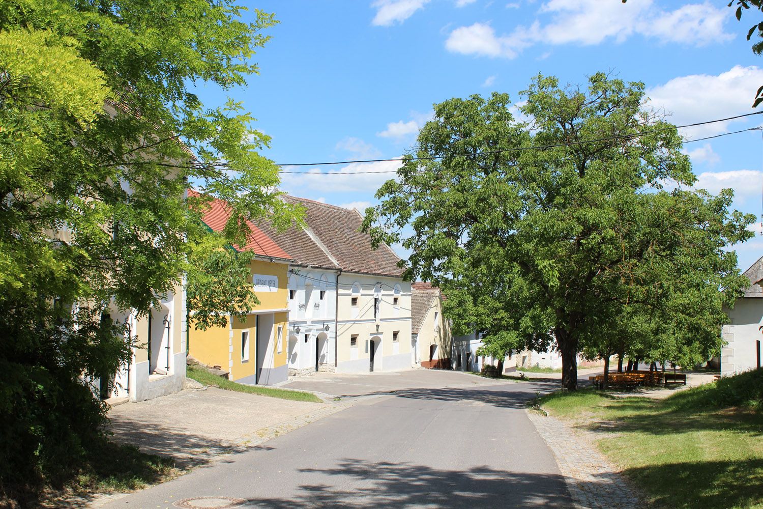 Klidná ulice v sklepních uličkách Straning se stromy a tradičními budovami.