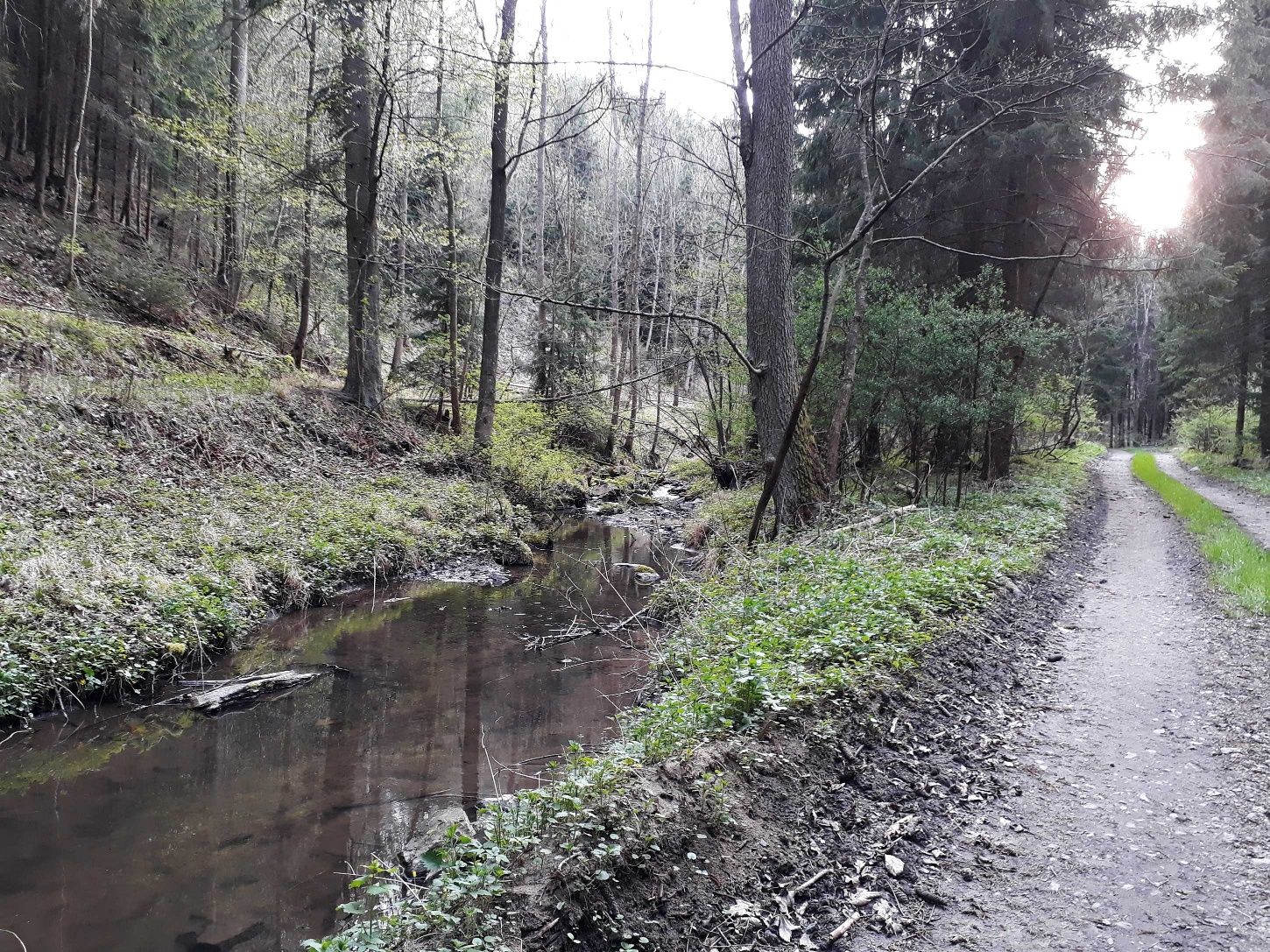Gaberbachova ulice