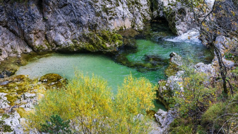 Křišťálově čistá voda v soutěskách Ötscheru, © Fred Lindmoser