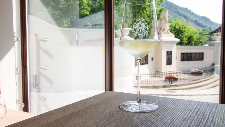 W.E.R.O Nechte promluvit v&iacute;no, &copy; Veronika Henkelova