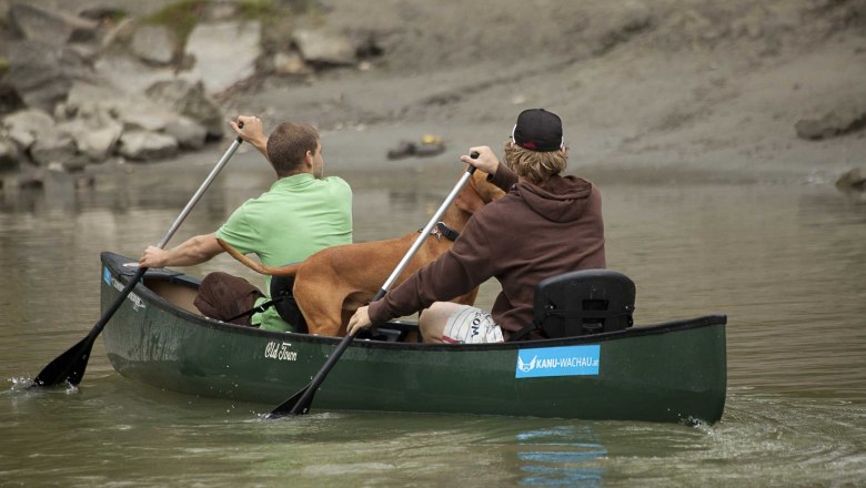 Canoeist, © Kanu Wachau