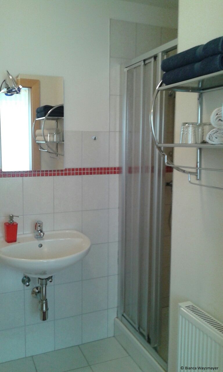 Koupelna s umyvadlem, zrcadlem, sprchou a věšákem na ručníky.
