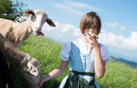 Franzenreith farmhouse, © dphoto.at
