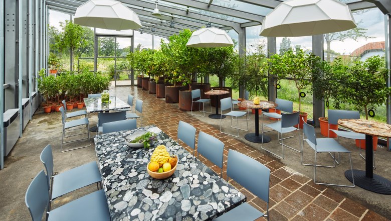 Pohled do interi&eacute;ru oranžerie se stoly, židlemi a rostlinami.