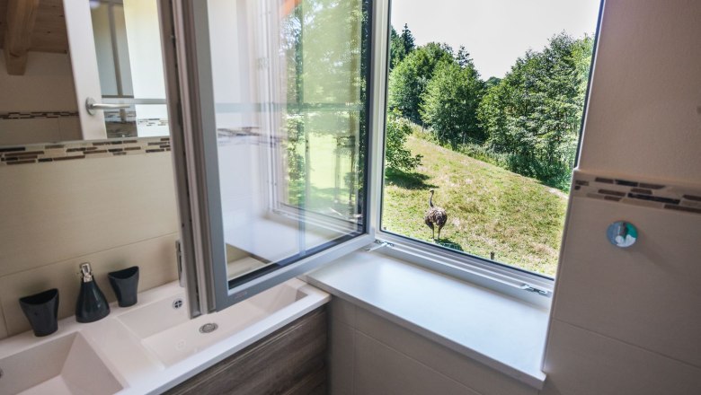 pohled na koupelnu, &copy; Otto Brandl