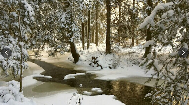 Screenshot 2025-04-15 133900, &copy; Astrid Hanke-Aberer