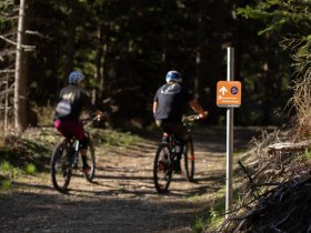 Herrgottschnitzer Route Uphill, &copy; Wexl Trails