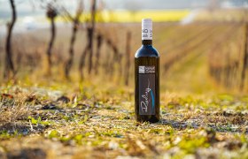 Organic winery Stix, © Weingut Stix