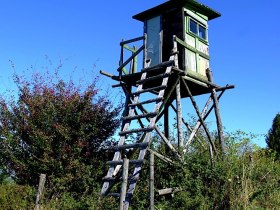 Hochwiese beim Gut Sonnleiten, &copy; Mostviertel