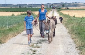 Donkey walk, © Fam Böchzelt