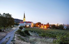 vinařský podzim ve Vídeňském lese, © Hauke Dressler