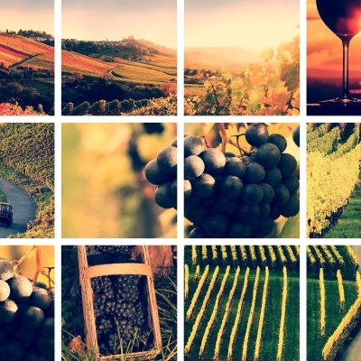 Winery Leo Strahammer, © Fam. Strahammer