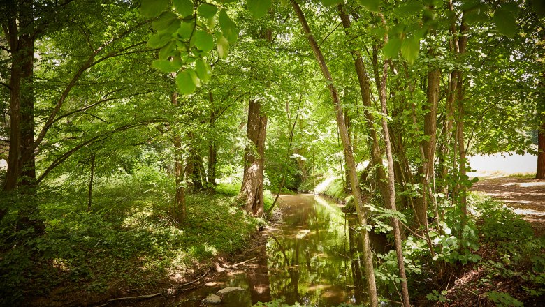 castle-horn, &copy; lichtstark.com