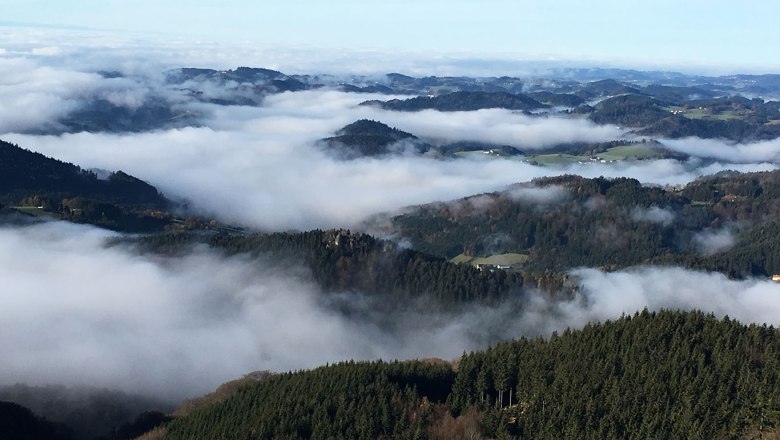 Viewing mountain Burgsteinmauer, © Leo Baumberger