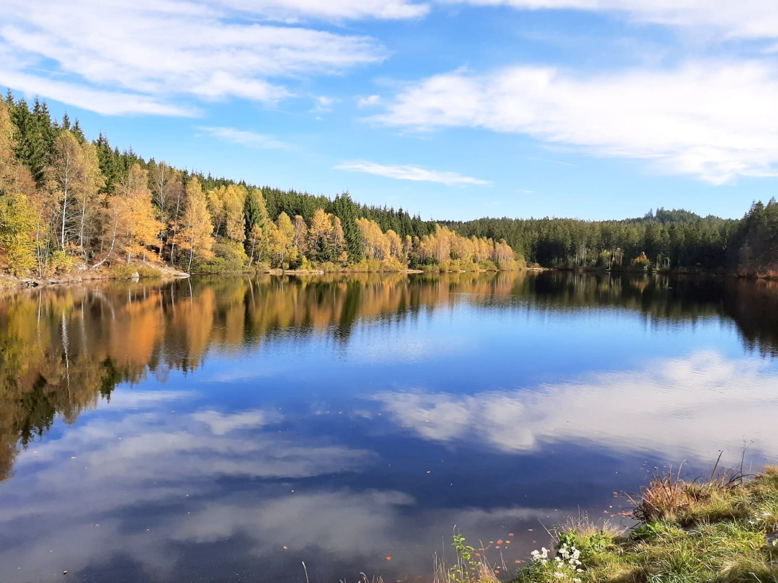 Schlesingerův rybník