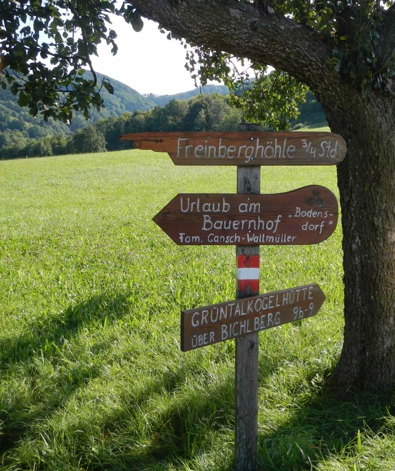 Rozcestník k jeskyni Freinberg a dalším cílům na louce.