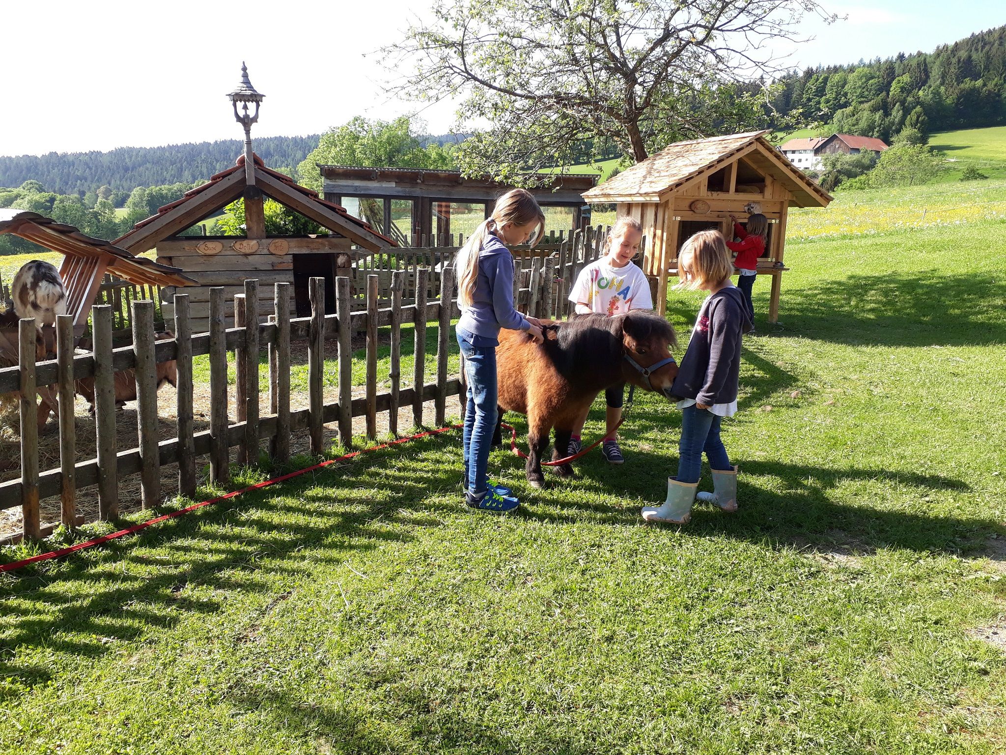 Děti hladí poníka na louce u dřevěného plotu.