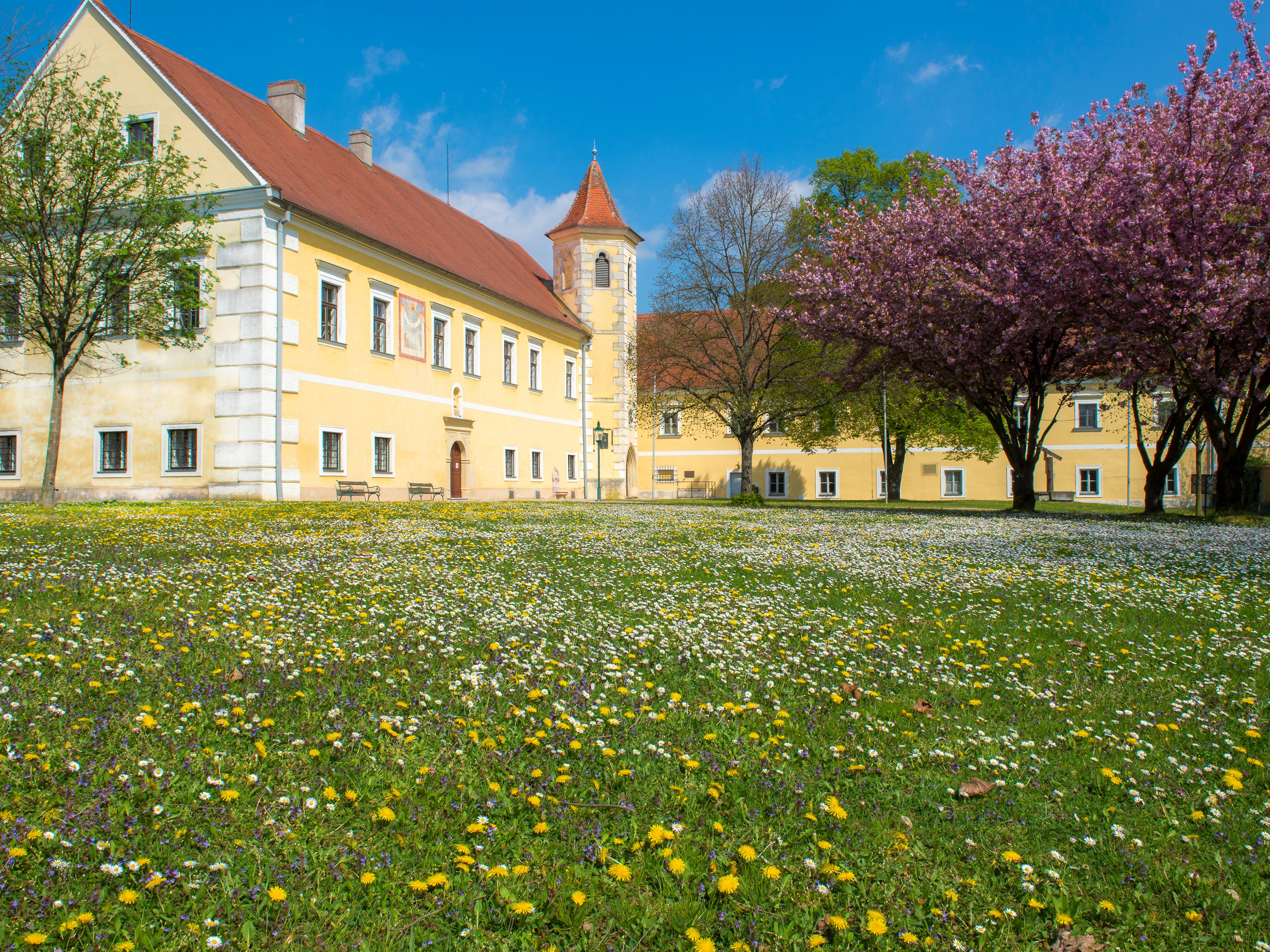 Zámek Atzenbrugg s kvetoucími stromy a loukou v popředí.