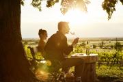 Vychutnejte si sklenku vína na vinici., © Weinviertel Tourismus/Micheal Liebert