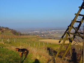 Jakobsweg Impression, &copy; Walter Pernikl