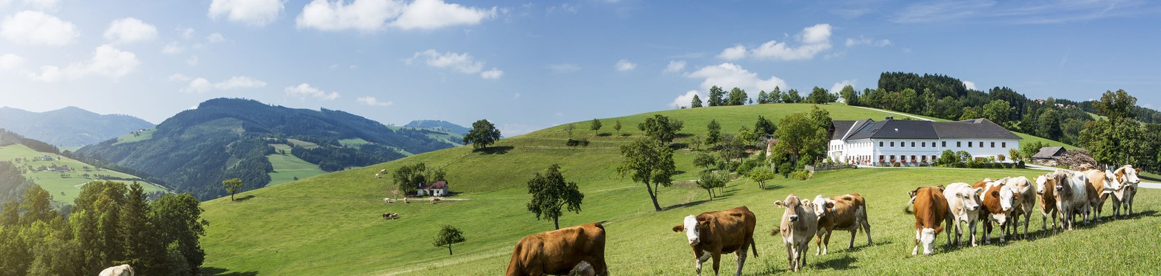 St. Georgen in der Klaus v regionu Mostviertel, © Niederösterreich-Werbung/ M. Liebert