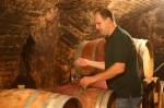 Wine cellar, © Weingut Grill Robert