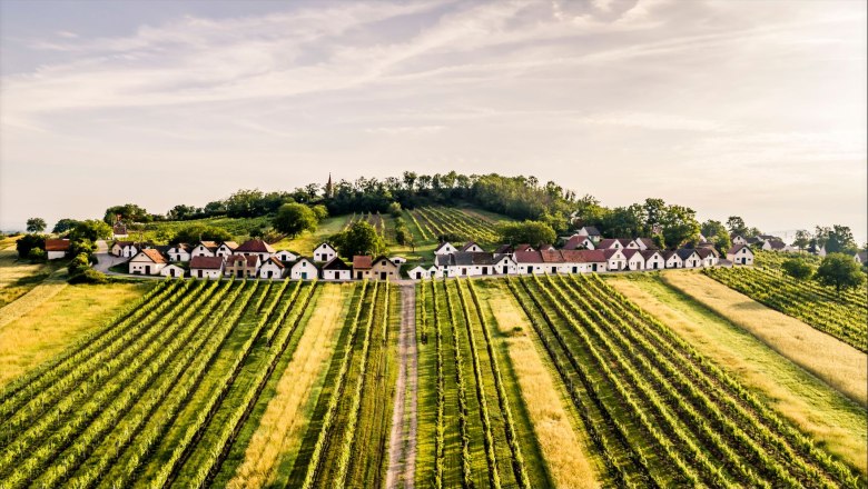 The Gallows Hill, © Weinstraße Weinviertel / Robert Herbst