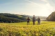 Der Beethoven Panoramaweg, © Wienerwald Tourismus GmbH / Christoph Kerschbaum