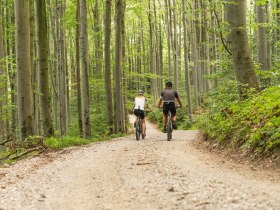 MTB Wienerwald, &copy; Wienerwadl Tourismus GmbH / Christoph Kerschbaum