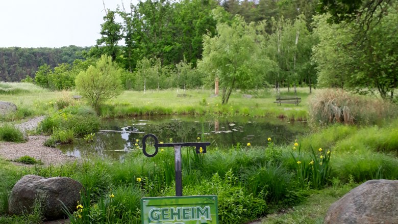 Dragonfly pond, © Stadtgemeinde Maissau