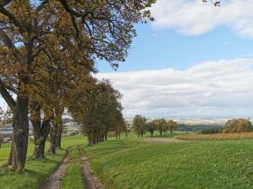 P&iacute;sečn&aacute; dr&aacute;ha, &copy; Brigitte Hofschwaiger