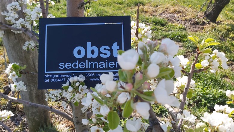 Sedelmaier fruit farm, © Obsthof Sedelmaier