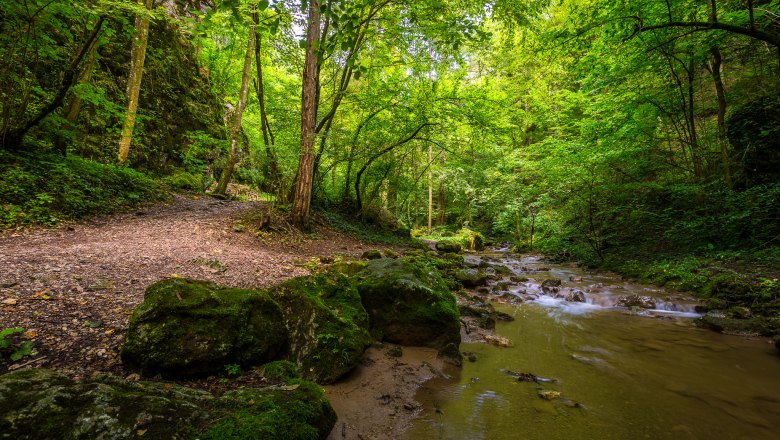 Johannesbach Gorge, &copy; Wiener Alpen/Christian Kremsl