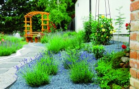 Lavender show garden, © Stadtgemeinde Maissau