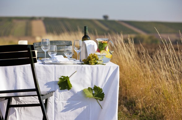 Víno a kulinářství v regionu Weinviertel, © Weinviertel Tourismus/ Lammerhuber