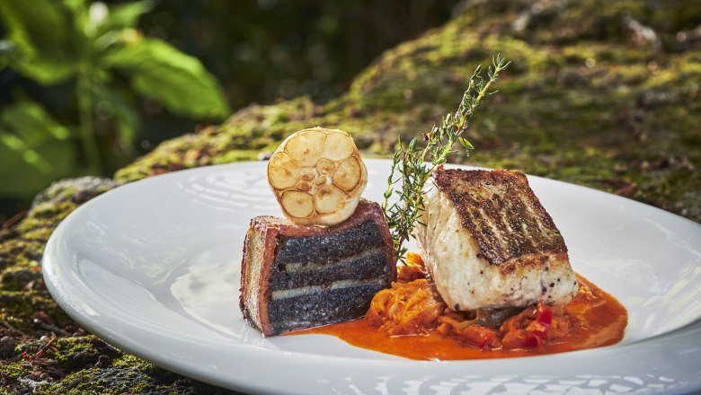 Zanderfilet auf pikantem Kraut und Bluzenterrine, © Niederösterreich Werbung/Andreas Hofer