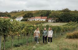 Sanfte Hügel und üppige Weingärten laden zu einem unvergesslichen Weinwandern ein. Die frische Luft und das sanfte Plätschern eines nahen Baches schaffen eine harmonische Atmosphäre, während die Gruppe fröhlich durch die Weinlandschaft schlendert. Hier, wo die Natur und die Kultur des Weinbaus aufeinandertreffen, wird jeder Schritt zum Genuss.