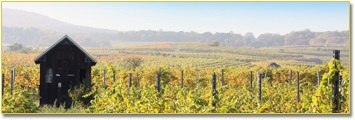 Vineyards, © http://www.farmer-nowak.at