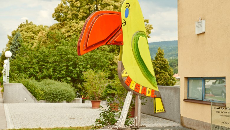 Ybbs joker, © Klaus Engelmayer