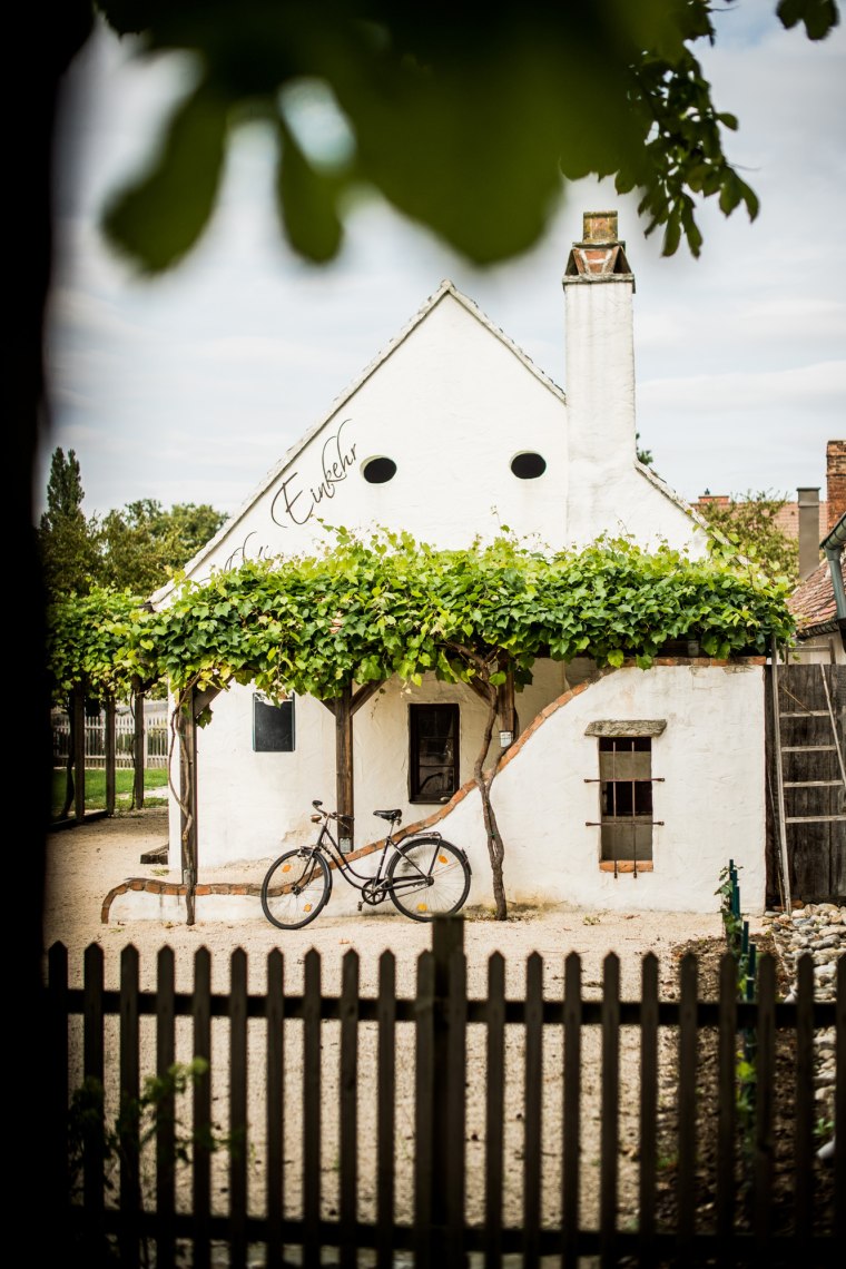 Příjemná cyklistika ve Weinviertelu, © Michael Reidinger