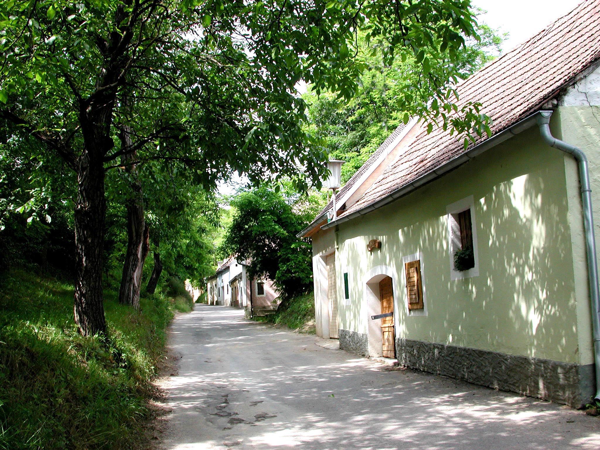 Úzká ulice ve sklepní uličce se stromy a starými budovami.