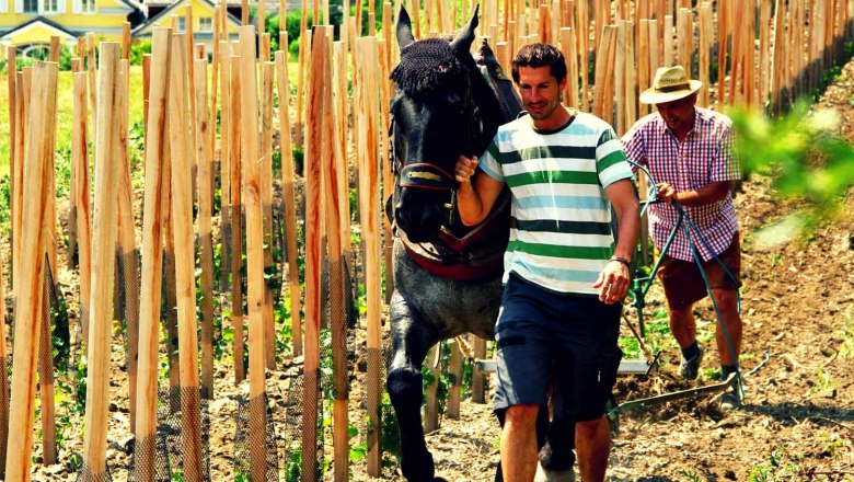 Johannes Friedberger, © Weingut Friedberger