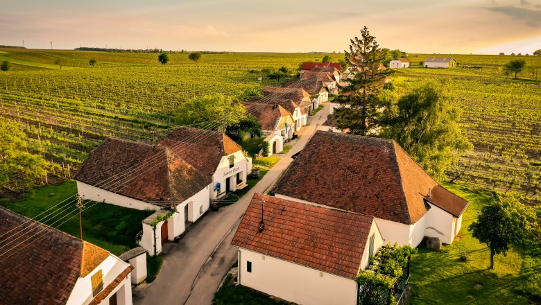 Zellerndorf Kellergasse (c) WTG Herbst-0032_klein, © Weinviertel Tourismus GmbH / Robert Herbst