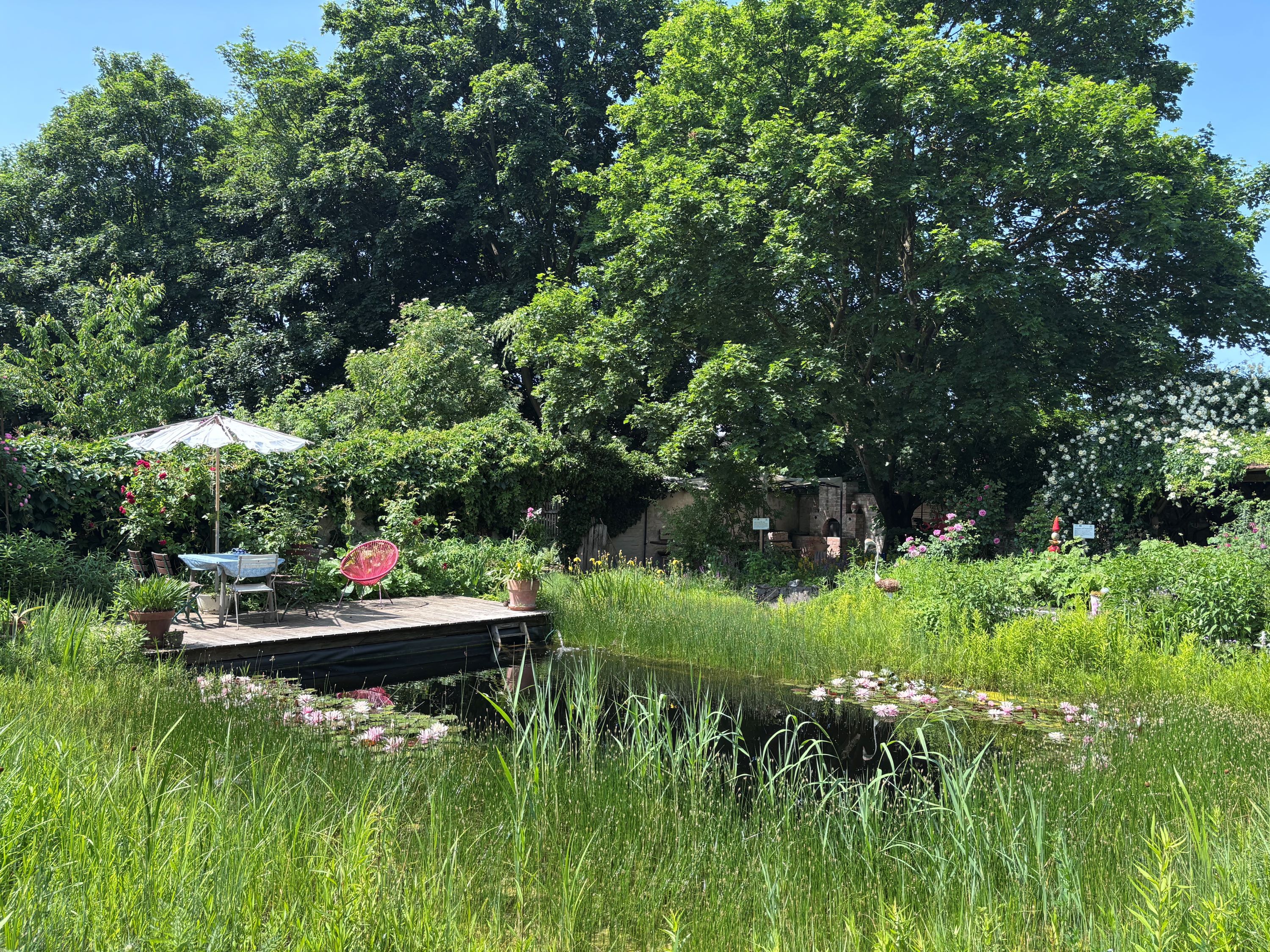 Idylická zahrada s jezírkem, dřevěnou terasou, stolem a židlemi pod slunečníkem, obklopená bujnou vegetací a stromy.