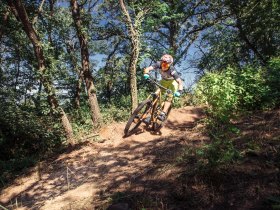 Fitnessteller, &copy; Wachau-Nibelungengau-Kremstal