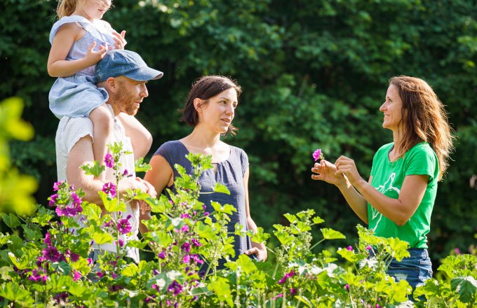 Book a herb tour with us at the BioHof, © Christian Hofer
