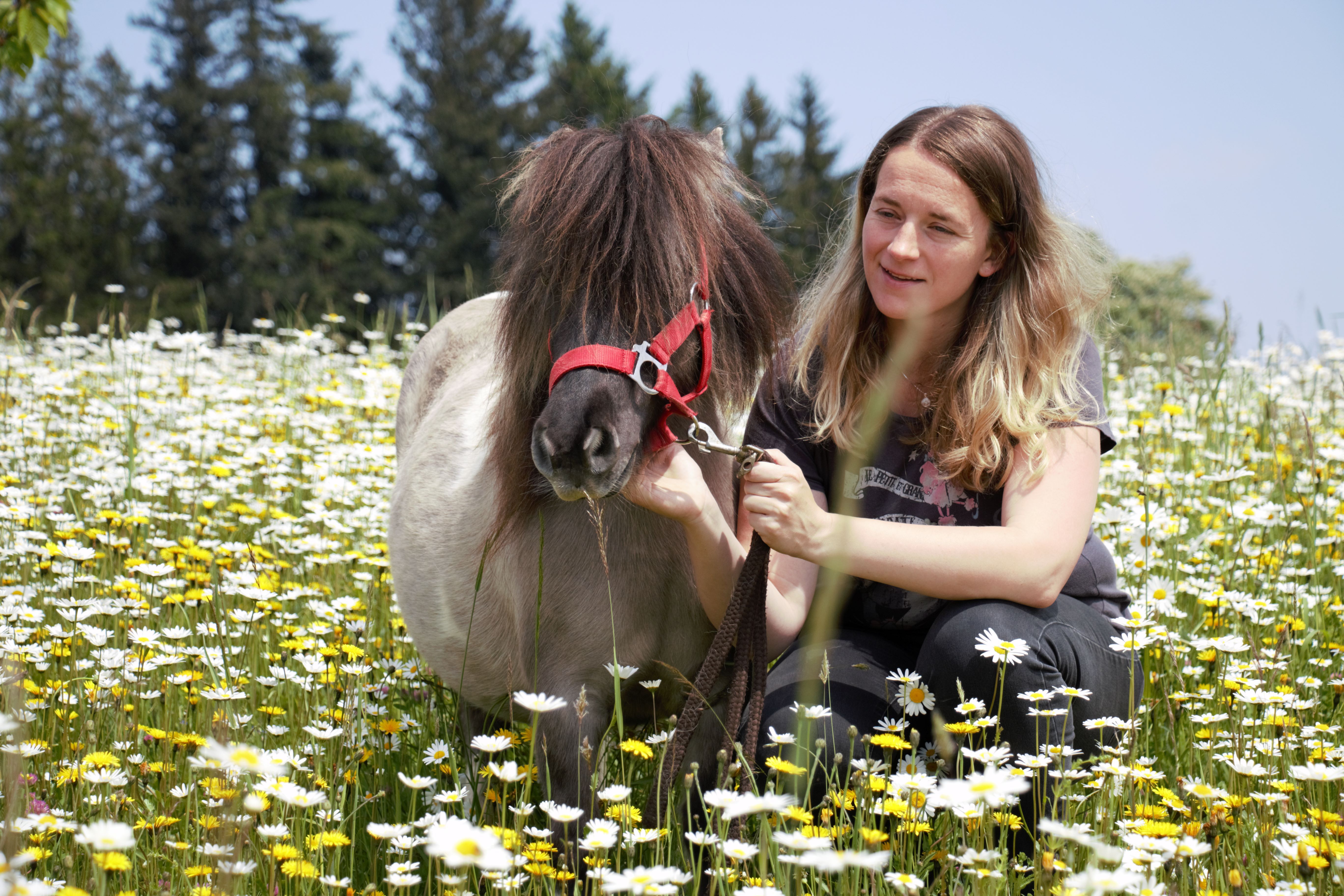 holiday-at-almbauer-2