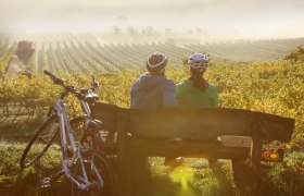 Vinařský zážitek, Traisental, © Niederösterreich Werbung/schwarz-könig.at