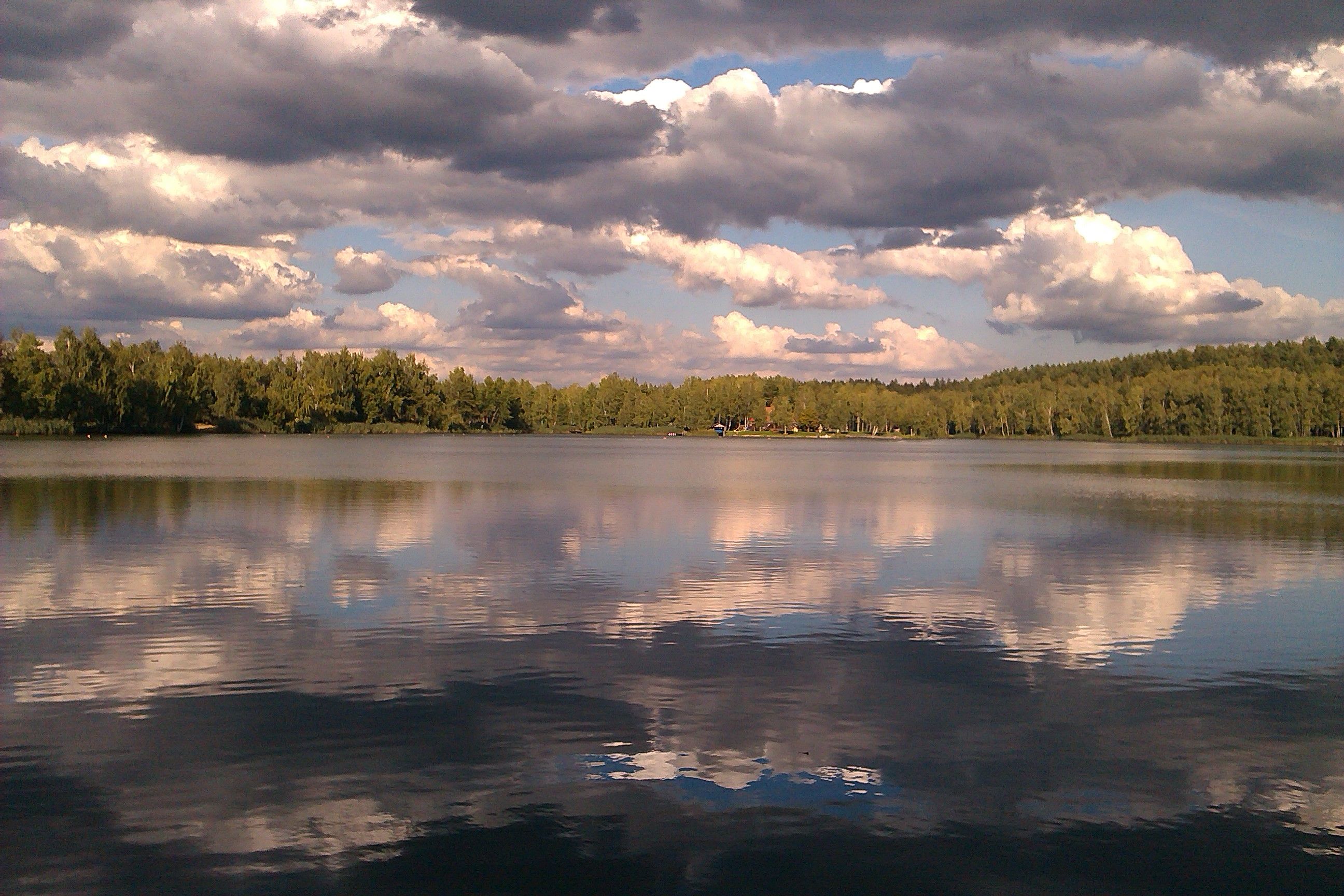 Jezero se zataženou oblohou a lesem v pozadí.